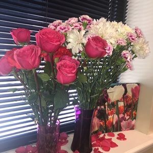 Meet your Posher, Lindsay